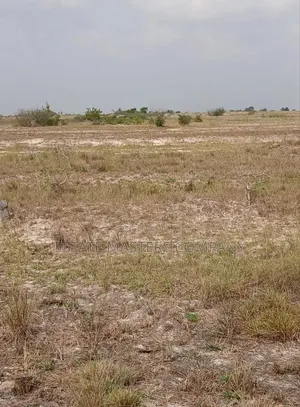 Buy Land and Stay in a Refreshing Environment