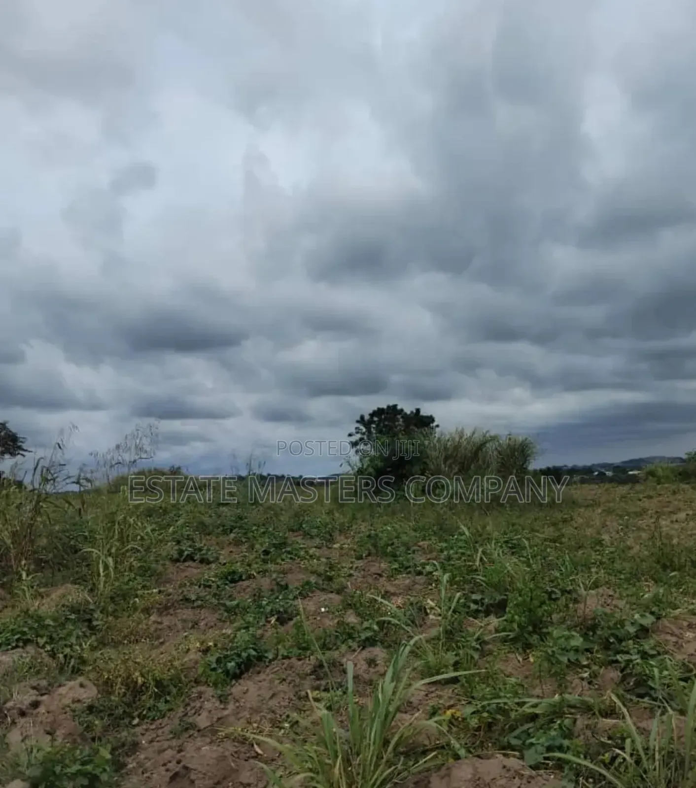 Buy and Stay in Analeptic Surrounding.