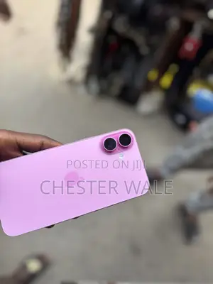 Apple iPhone 16 Plus 128 GB Pink