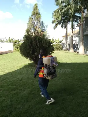 Professional Fumigation Service