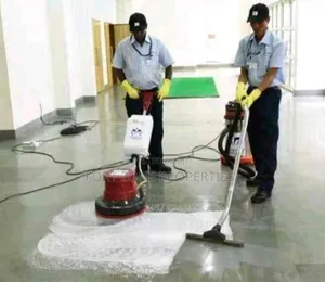 Special Cleaning Service With Cleantex