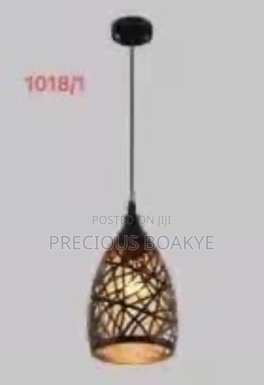 One Headed Pendent Light