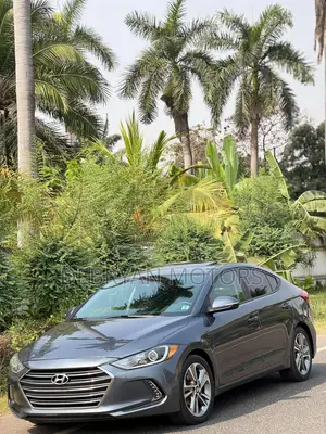 Hyundai Elantra Value Edition Sedan FWD (2.0L 4cyl 6A) 2017 Gray