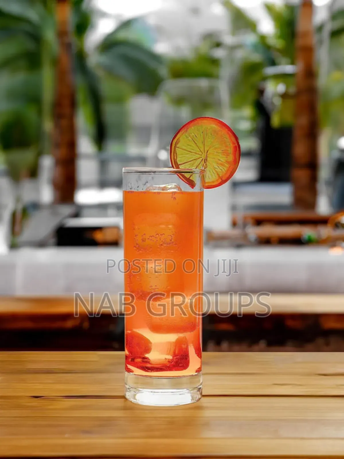 Highball Glasses