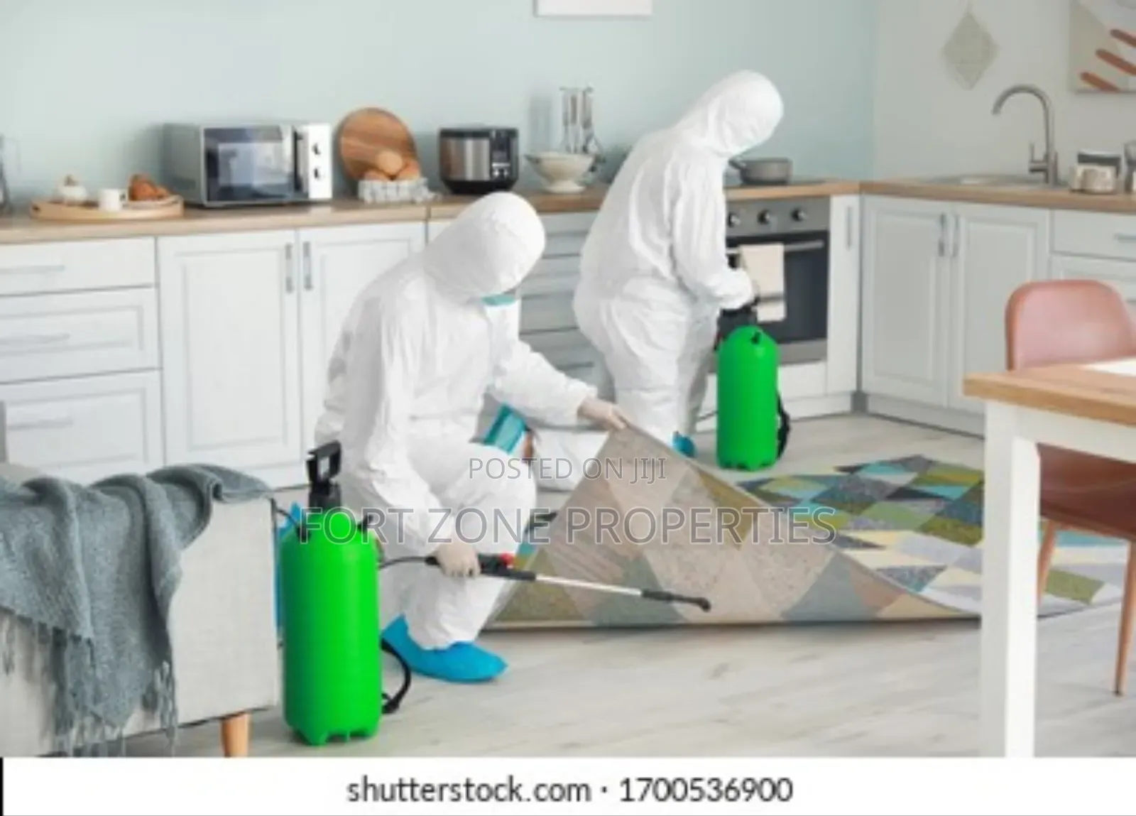 Special Room and Kitchen Fumigation for Insects,Rodents.