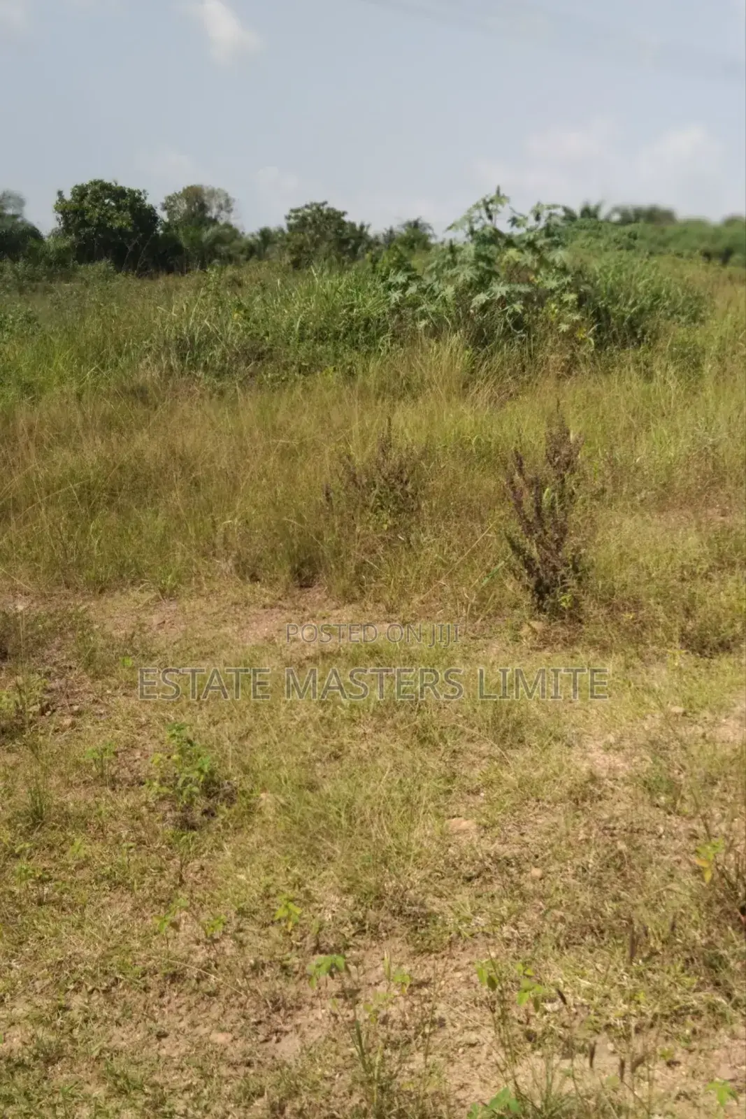 No Shaken Come Buy a Land From Estate Masters
