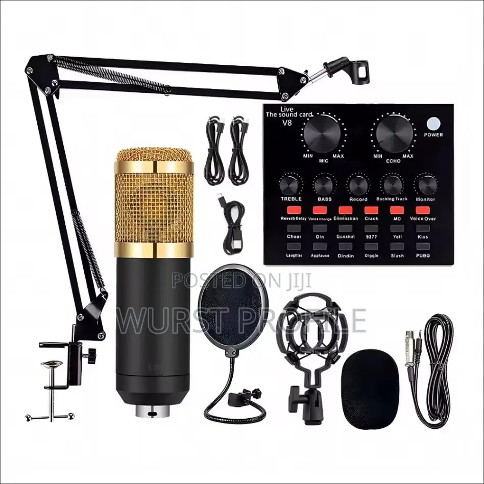 Condenser Microphone