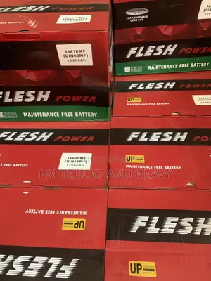 Car Battery Fleshpower