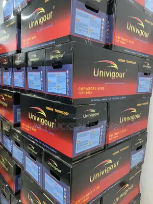 Car Battery Univigour