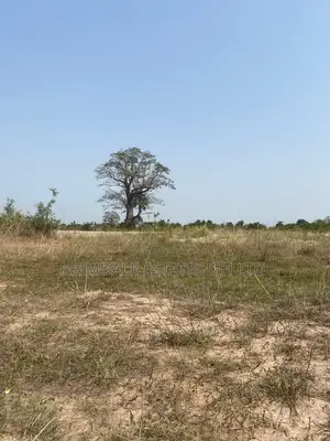 Own Afienya+Land+Property=Now!