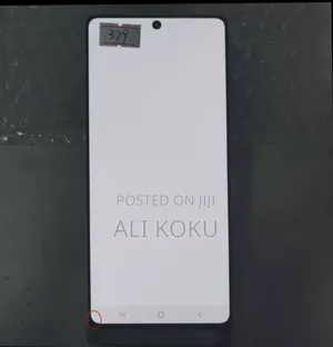 Samsung Note 20 Screen . Very Small Dot