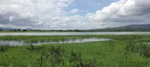 VOLTA REGION, HAVE (ETOE) _ 2 Acres  Riverfront Farmland