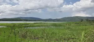 VOLTA REGION, HAVE (ETOE) _ 2 Acres  Riverfront Farmland