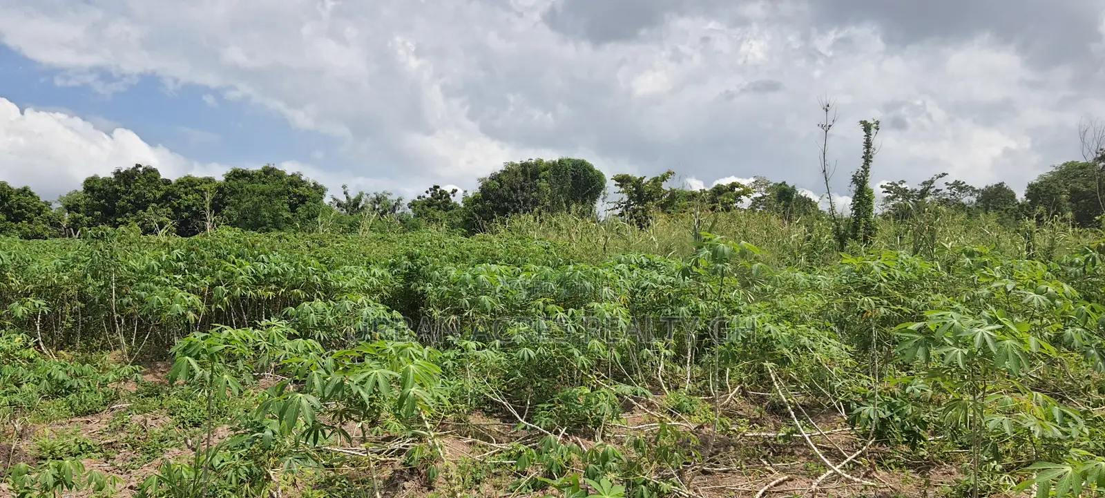 VOLTA REGION, HAVE (ETOE) _ 2 Acres  Riverfront Farmland