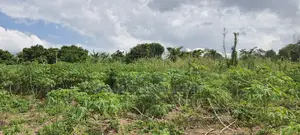 VOLTA REGION, HAVE (ETOE) _ 2 Acres  Riverfront Farmland