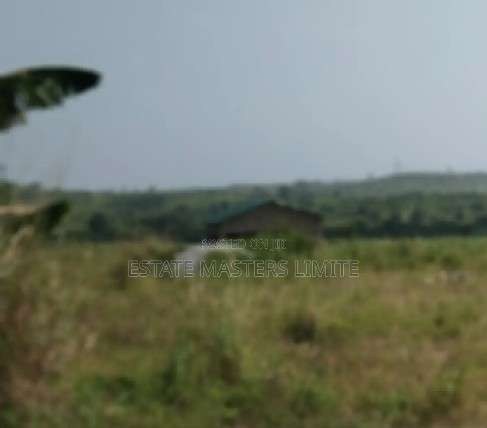 Discovere the Magic of Real Estate, With Estate Masters
