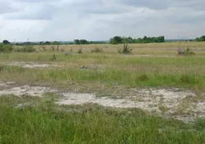 No Litigation or Land Guard Intrusion Land for Sale,Tsopoli