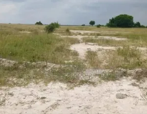 Your Family Happiness Starts With This Genuine Estate Land