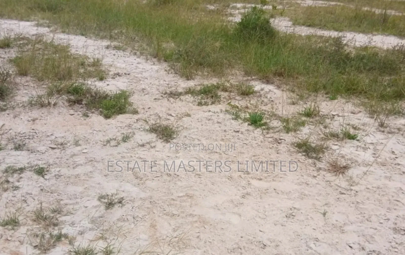 Why Hesitate to Own a Land, Genuine Land Sale, Tsopoli