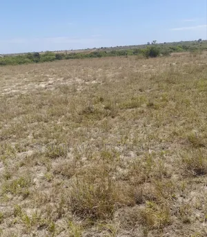 Perfect Land for Our Lovely People, Greenery Areas,Prampram