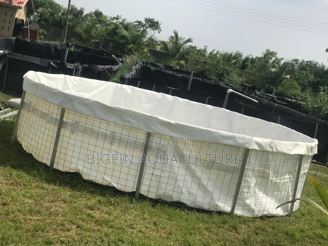 Tilapia and Catfish Pond and Cage Construction