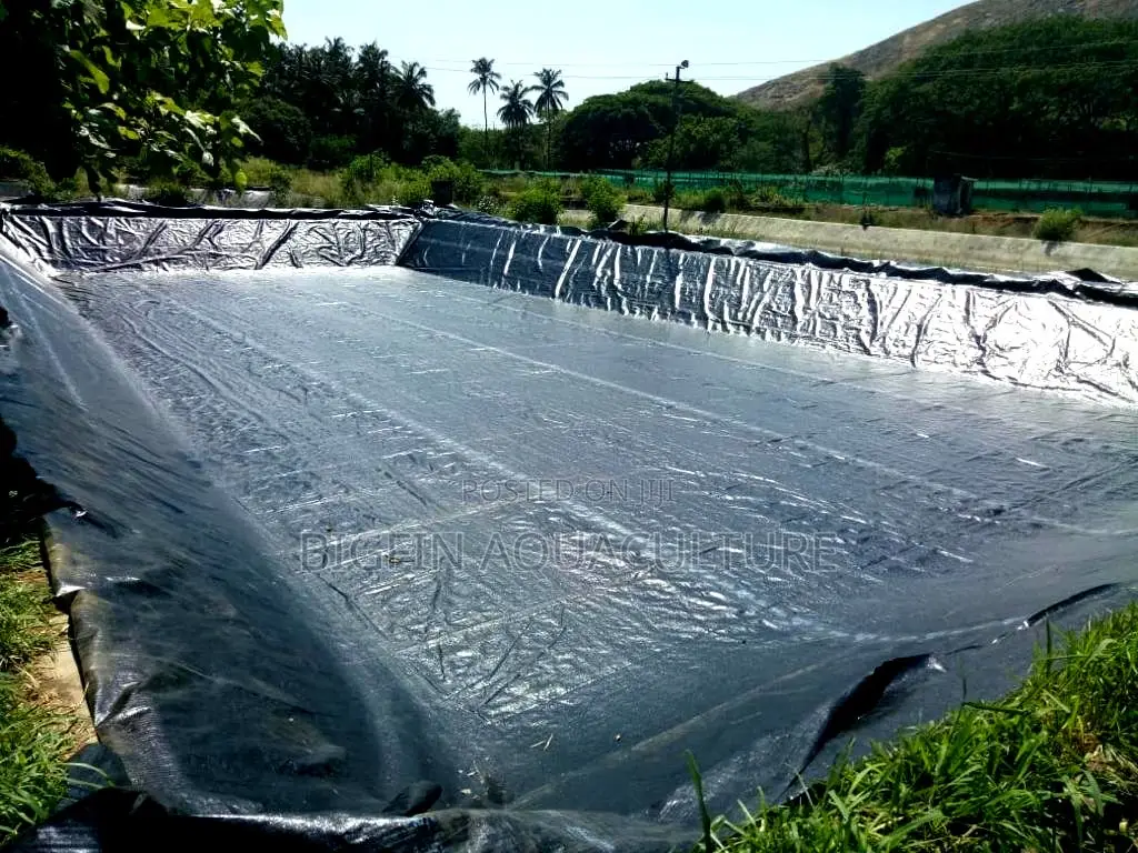 Tilapia and Catfish Pond and Cage Construction