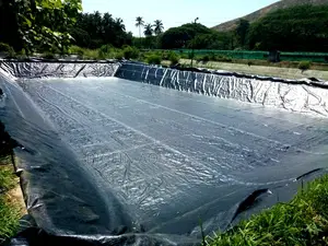 Tilapia and Catfish Pond and Cage Construction