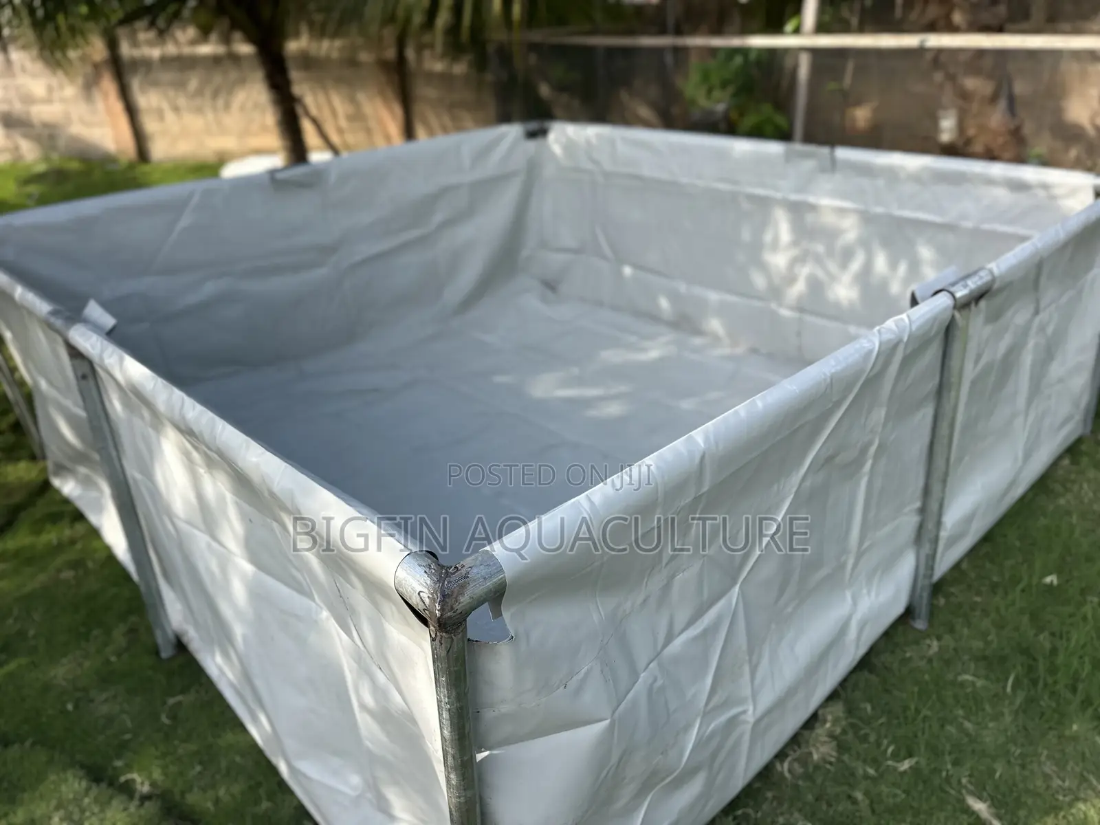 Tilapia and Catfish Pond and Cage Construction