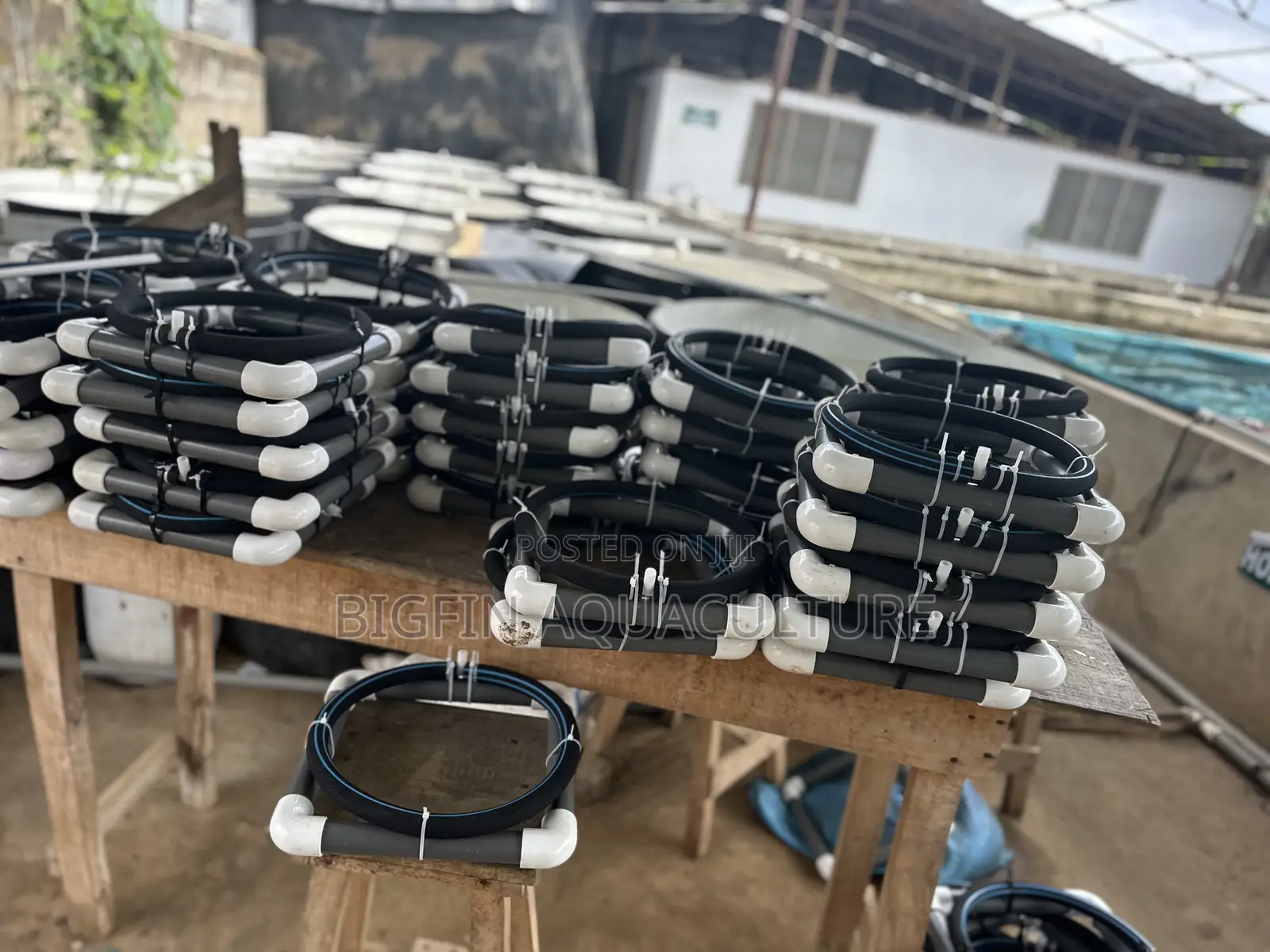 Tilapia and Catfish Pond and Cage Construction