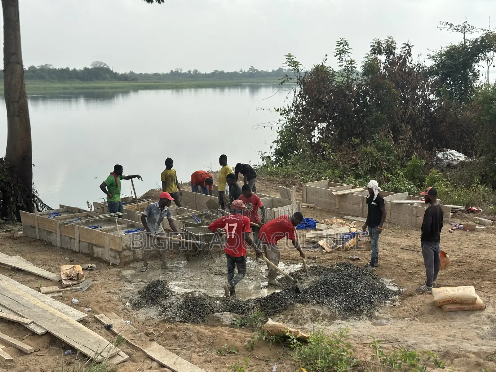 Tilapia and Catfish Pond and Cage Construction