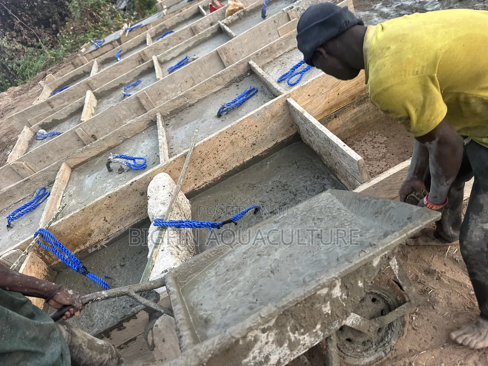 Tilapia and Catfish Pond and Cage Construction