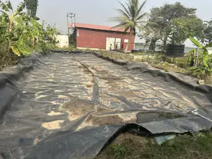 Tilapia and Catfish Pond and Cage Construction