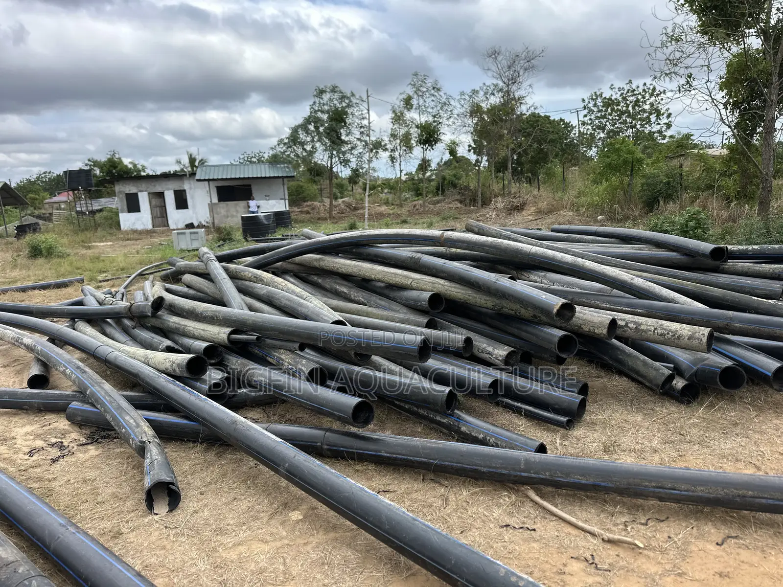 Tilapia and Catfish Pond and Cage Construction