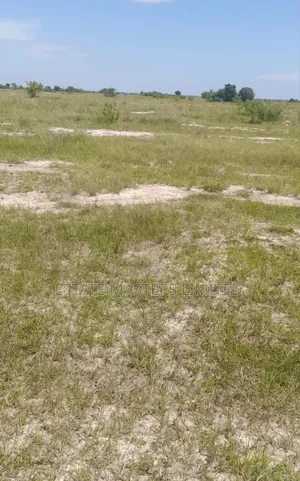 Eco-Friendly Plots Live in Harmony With Nature, Tsopoli