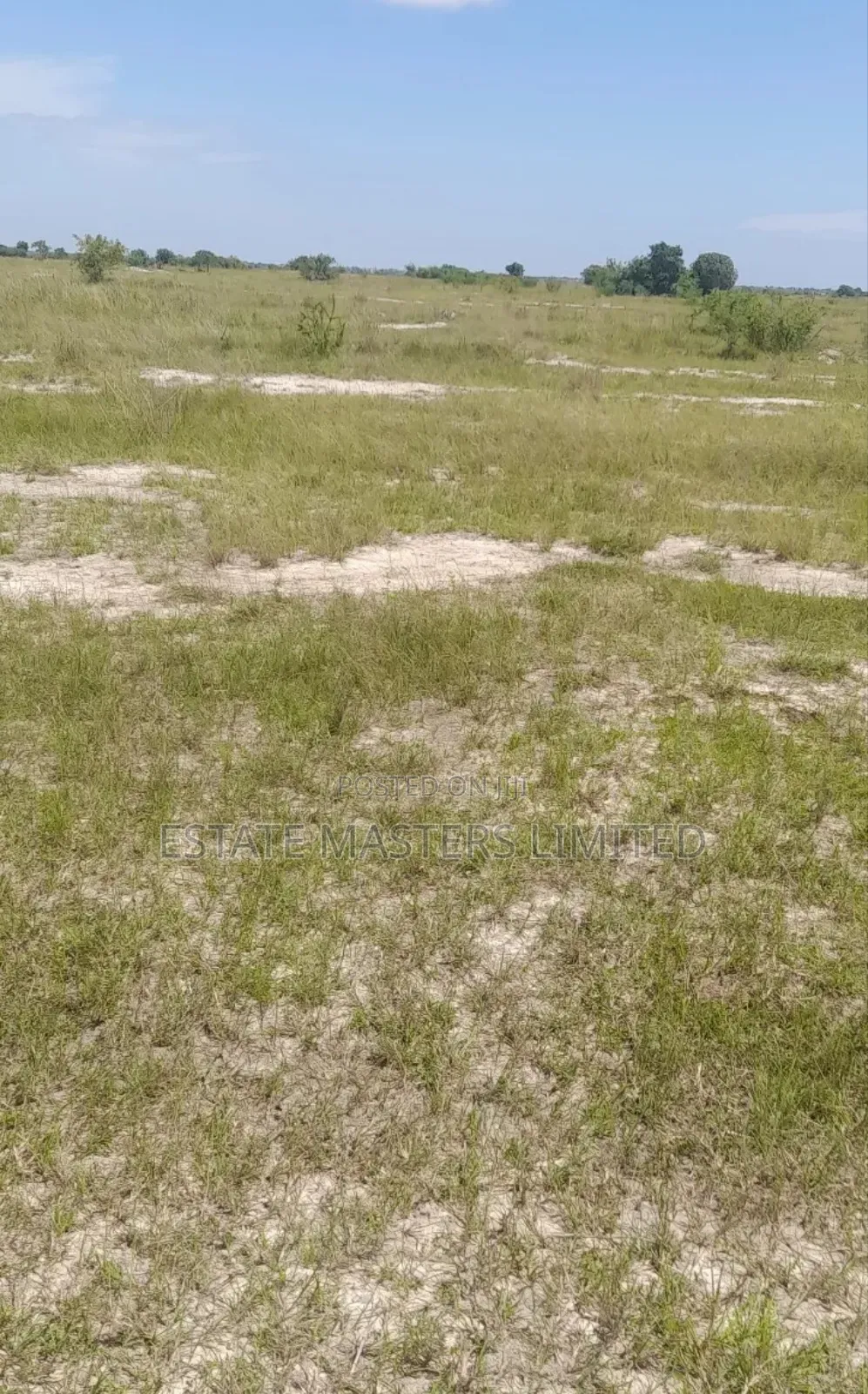 Eco-Friendly Plots Live in Harmony With Nature, Tsopoli