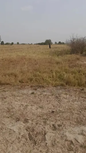 Reconnect With Nature, Serene Plots for Sale, Prampram