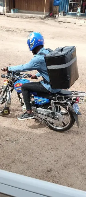 Portable Delivery Bags