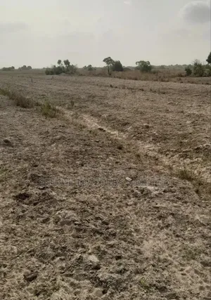 A Perfect Land Located for Your Future Home, Prampram