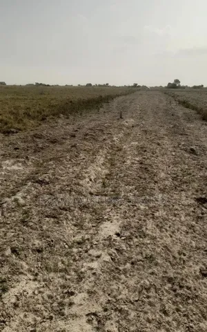 A Perfect Land Located for Your Future Home, Prampram