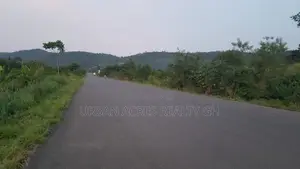 Volta Region - Peki (Adzokoe) _ 3 Plots (150' X 250') Roadside Land