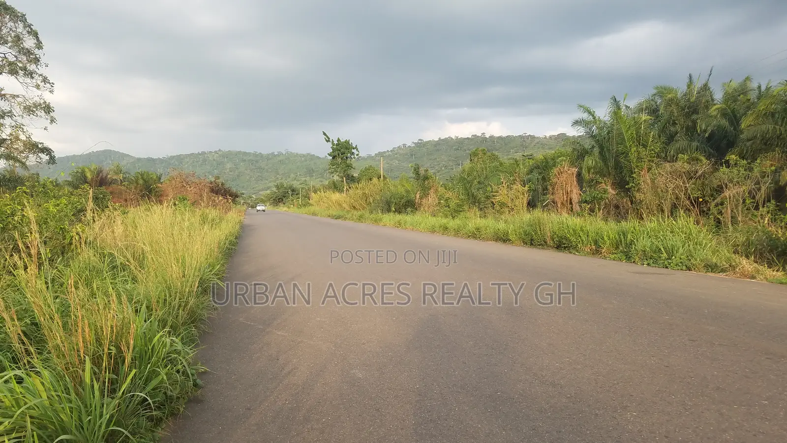 Volta Region - Peki (Adzokoe) _ 3 Plots (150' X 250') Roadside Land