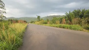 Volta Region - Peki (Adzokoe) _ 3 Plots (150' X 250') Roadside Land