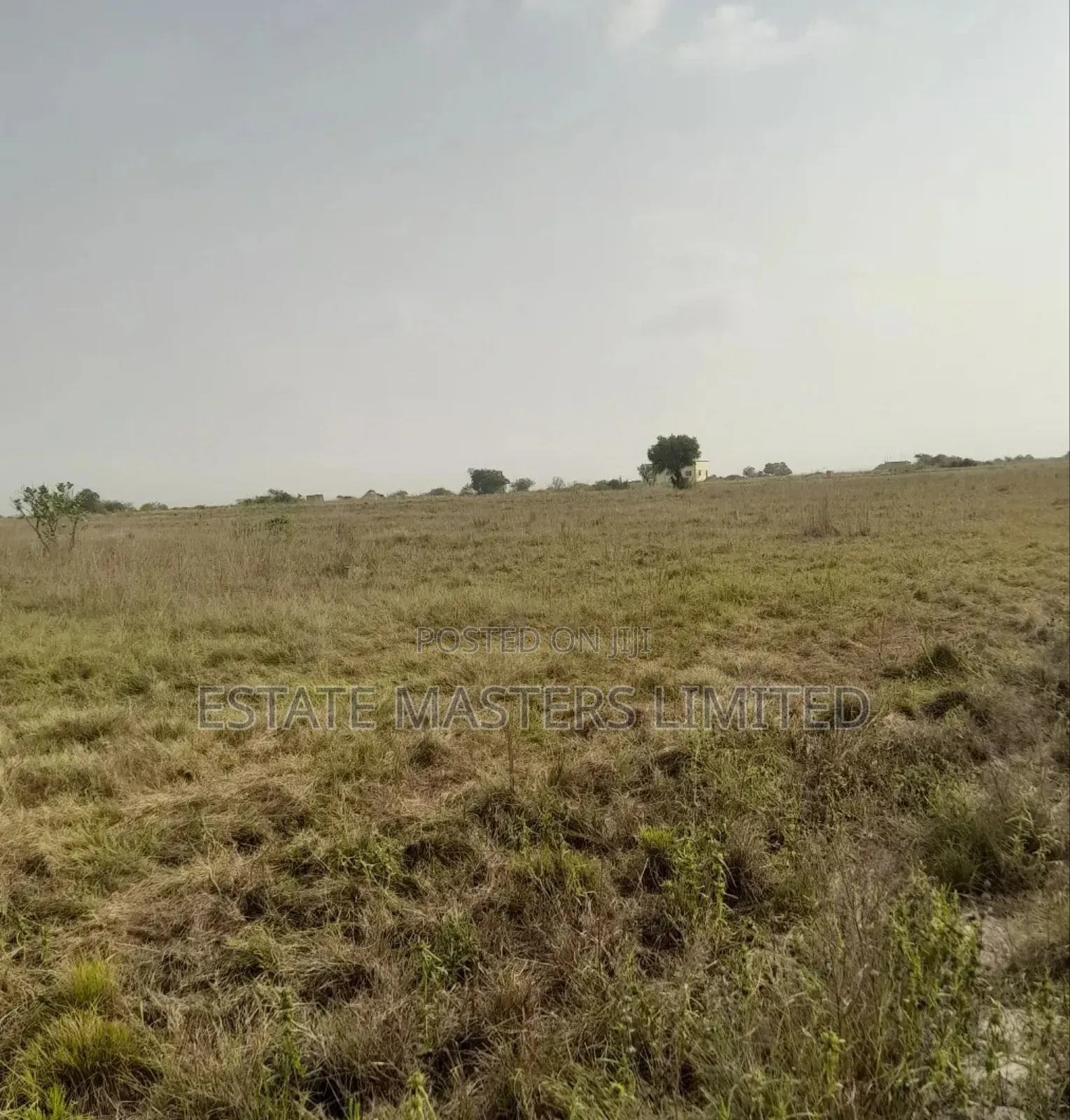 Land for Sale at Tsopoli!!