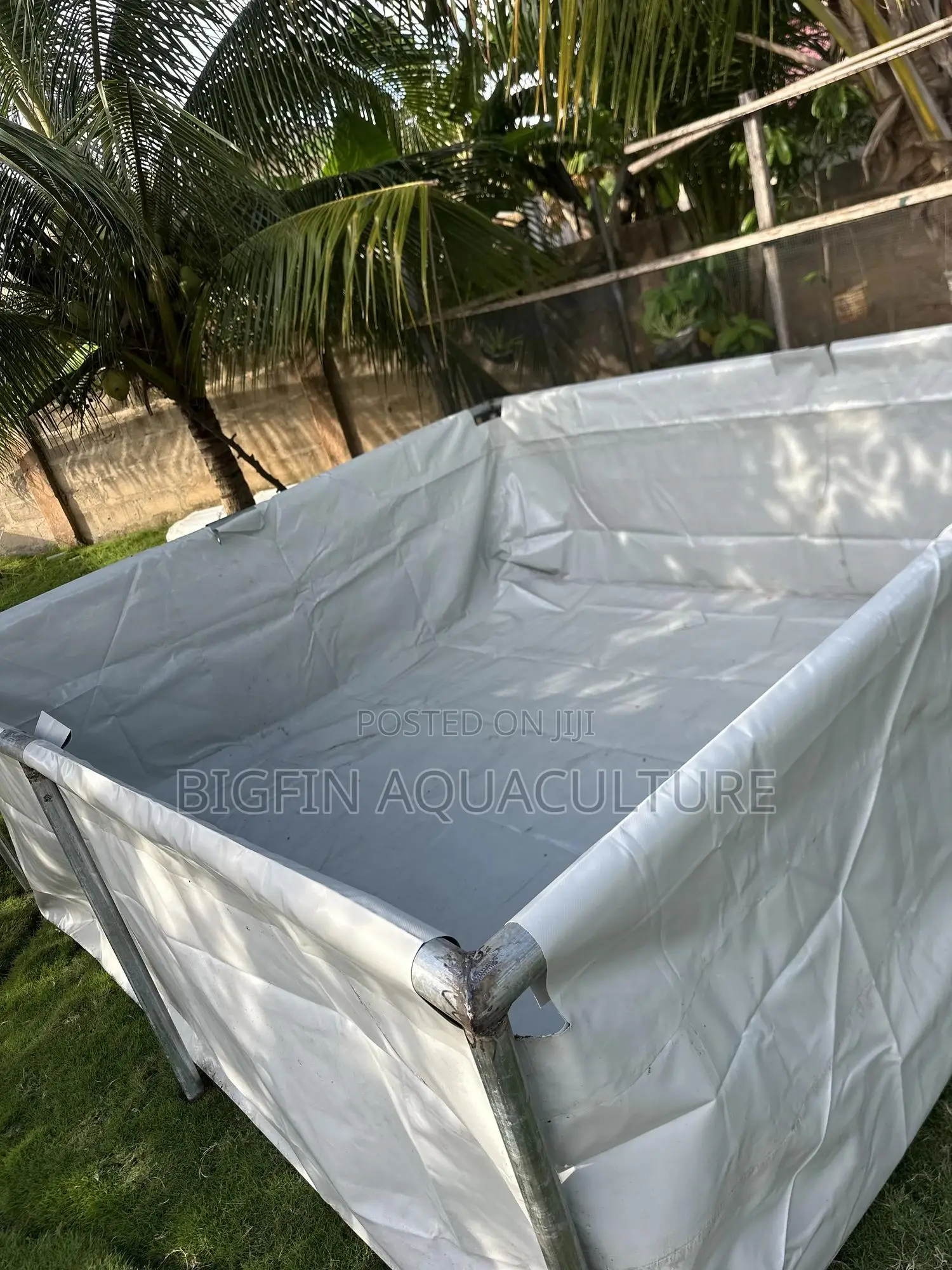 Tilapia and Catfish Pond and Cage Construction