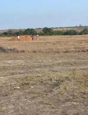 Naturally Flat Land Close to the Beach