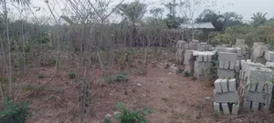 Legit Residential Half Plot of Land for Sale