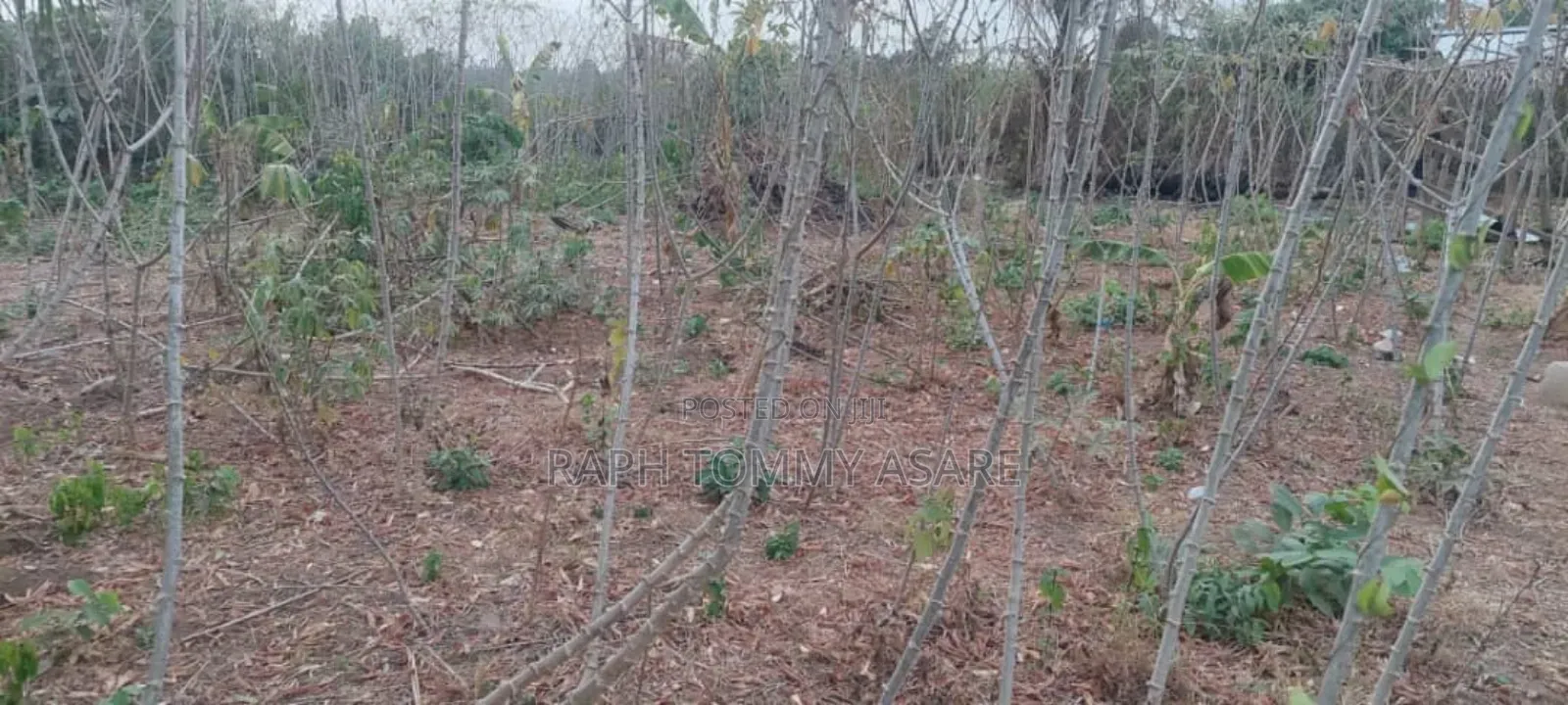 Legit Residential Half Plot of Land for Sale