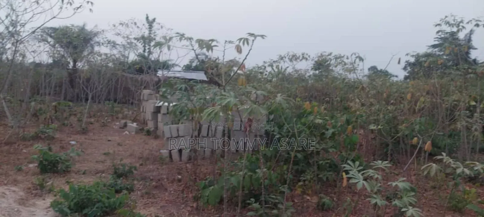 Legit Residential Half Plot of Land for Sale