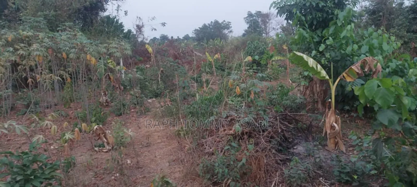 Legit Residential Half Plot of Land for Sale