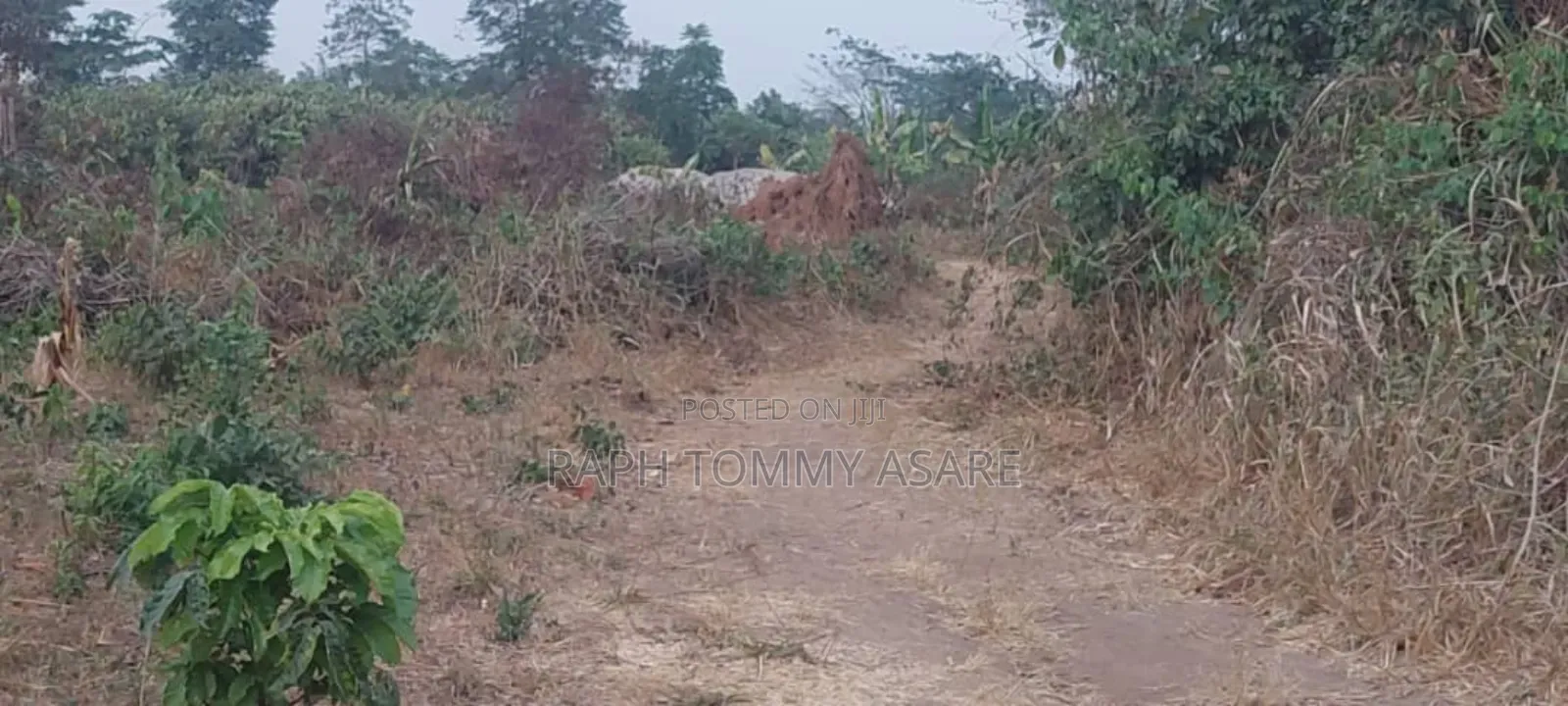 Legit Residential Half Plot of Land for Sale